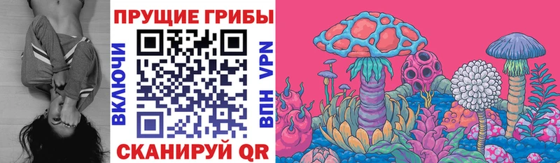 hydra сайт  Шумиха  Псилоцибиновые грибы Psilocybe 